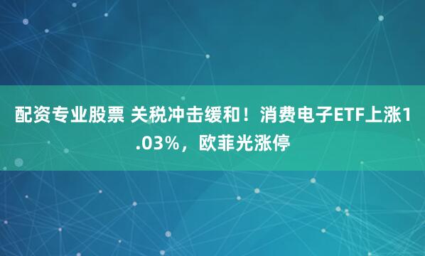 配资专业股票 关税冲击缓和！消费电子ETF上涨1.03%，欧菲光涨停